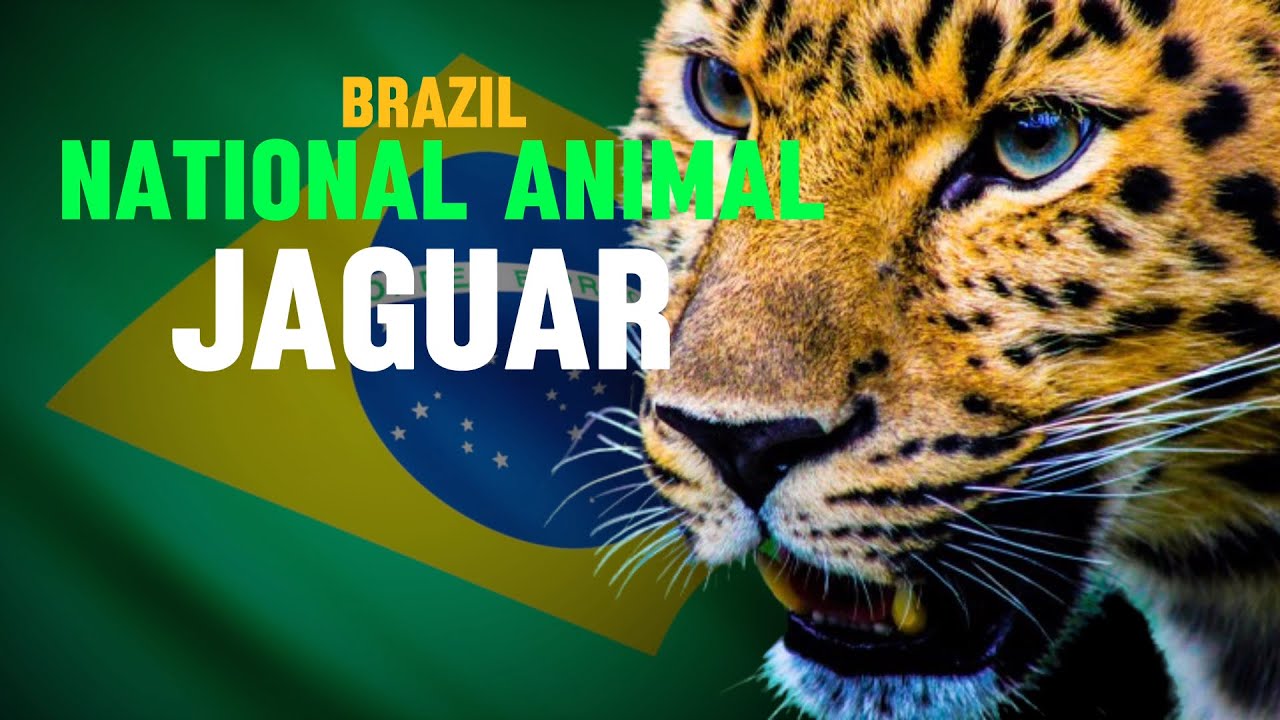 What is the national animal of rio? - In Your Travel