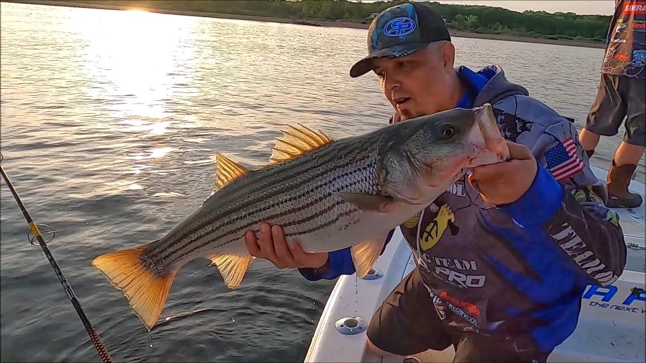 Scaring Fish Does boat noise scare fish? - In Your Travel