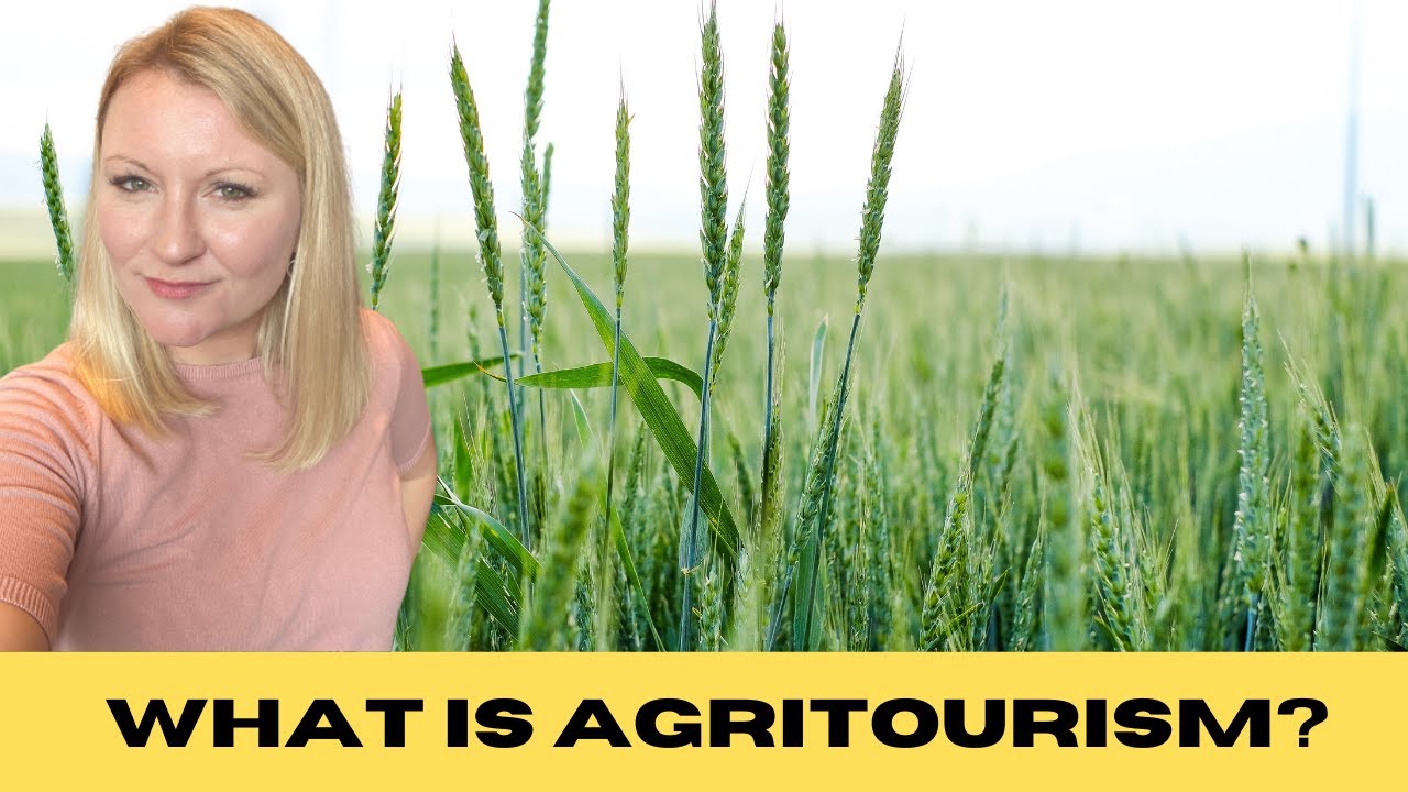 Turism Rural How do the concepts of rural tourism and agritourism relate to each ...