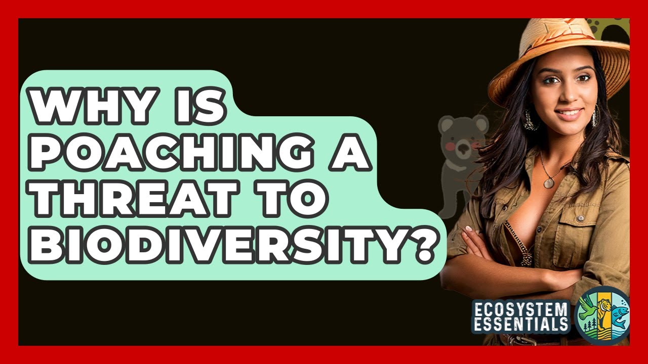 How does poaching affect the ecosystem? - In Your Travel