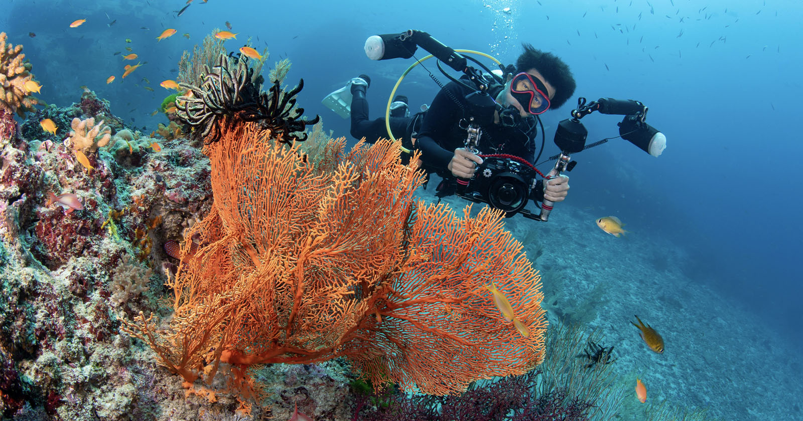 Thailand Cracks Down on Underwater Photography: A Necessary Evil or Stifling Creativity?