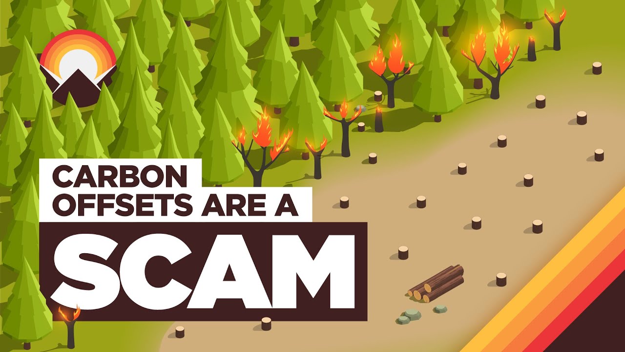 What is the carbon offset program? - In Your Travel