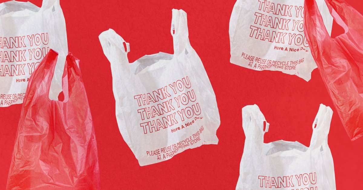 Do Plastic Bag Bans Actually Work?