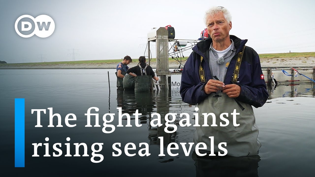 Why would the Netherlands be impacted in a large way by rising sea ...