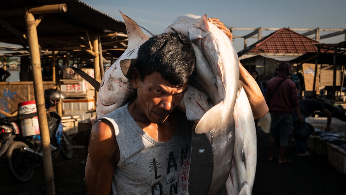 The Silent Crisis Beneath the Waves: Southeast Asia's Fishing Emergency