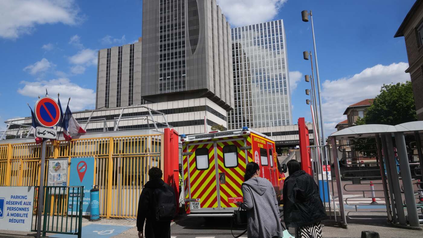 French Hantavirus Outbreak Intensifies: Critically Ill Patient Undergoing Life Support