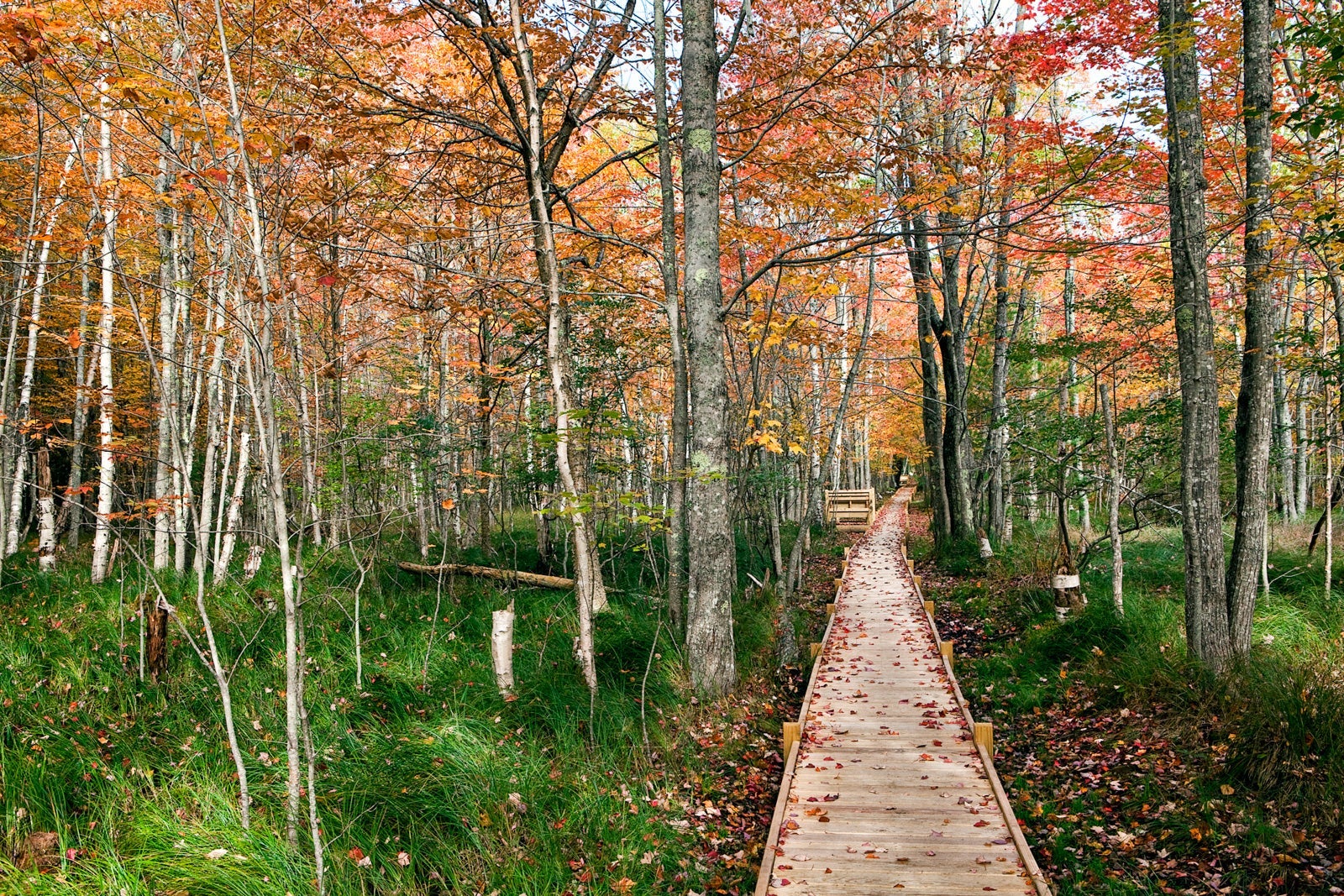 The Ultimate Guide to America's National Parks: Must-Visit Destinations