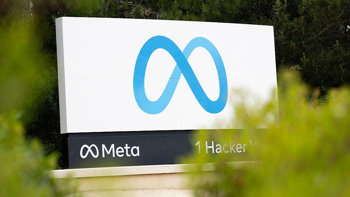 The Algorithmic Guillotine: Did Meta's AI Dream Become a Nightmare for the Vulnerable?